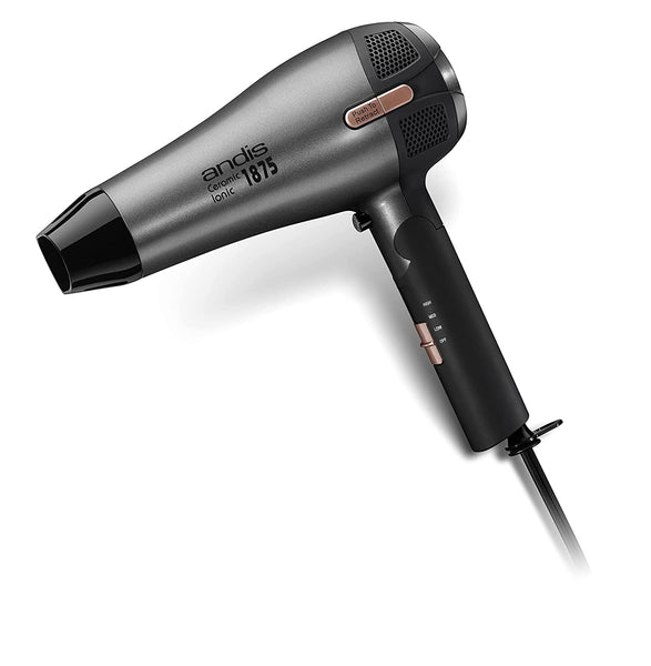 Andis Fold-N-Go 1875 Watt Ceramic Ionic Dryer, Retractable Cord, Black/Silver (80280)