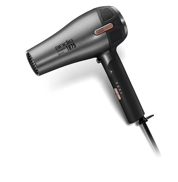 Andis Fold-N-Go 1875 Watt Ceramic Ionic Dryer, Retractable Cord, Black/Silver (80280)